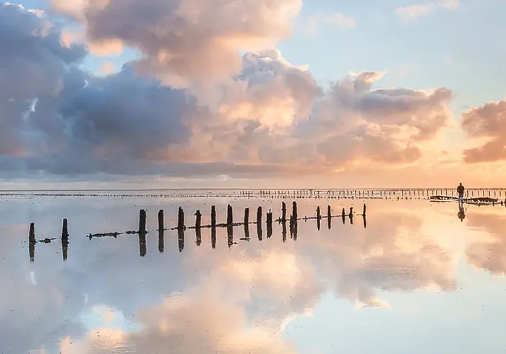 Poles and clouds reflecting in the Wadden sea at low tide during sunrise, Friesland, the Netherlands